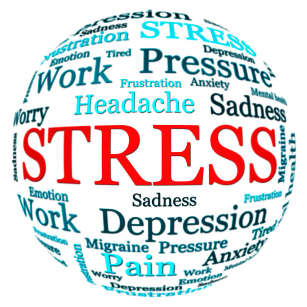 stress1 stress1